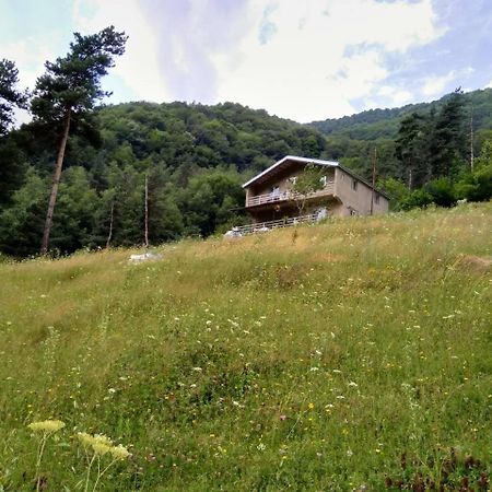 Guesthouse Gama In Khevsureti Roshka Eksteriør bilde