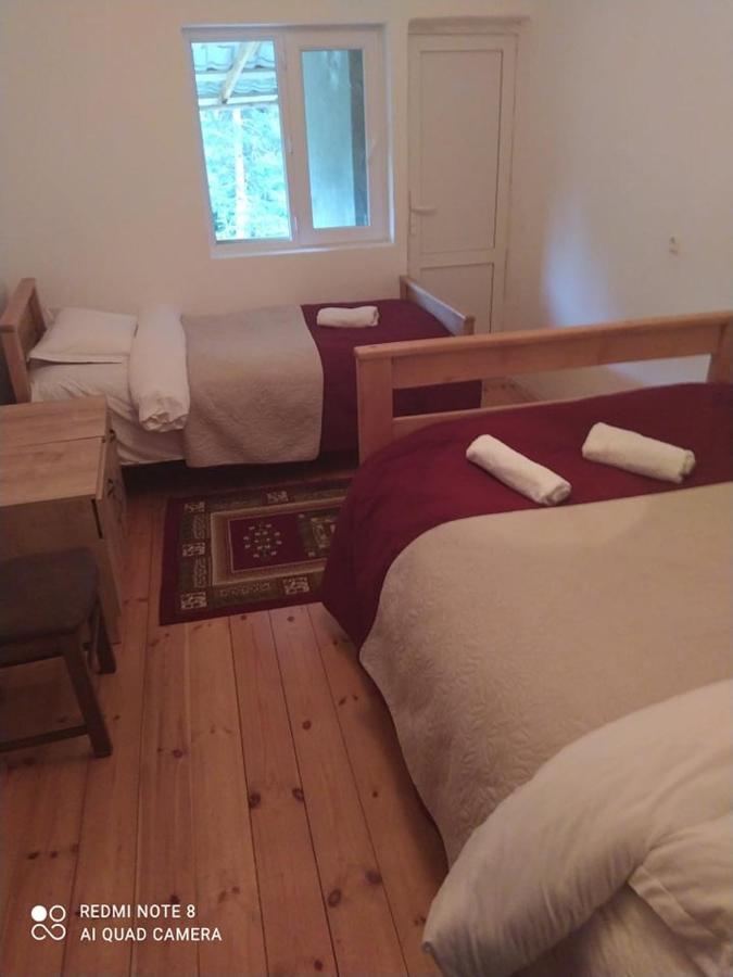 Guesthouse Gama In Khevsureti Roshka Eksteriør bilde