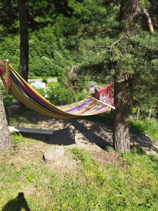 Guesthouse Gama In Khevsureti Roshka Eksteriør bilde