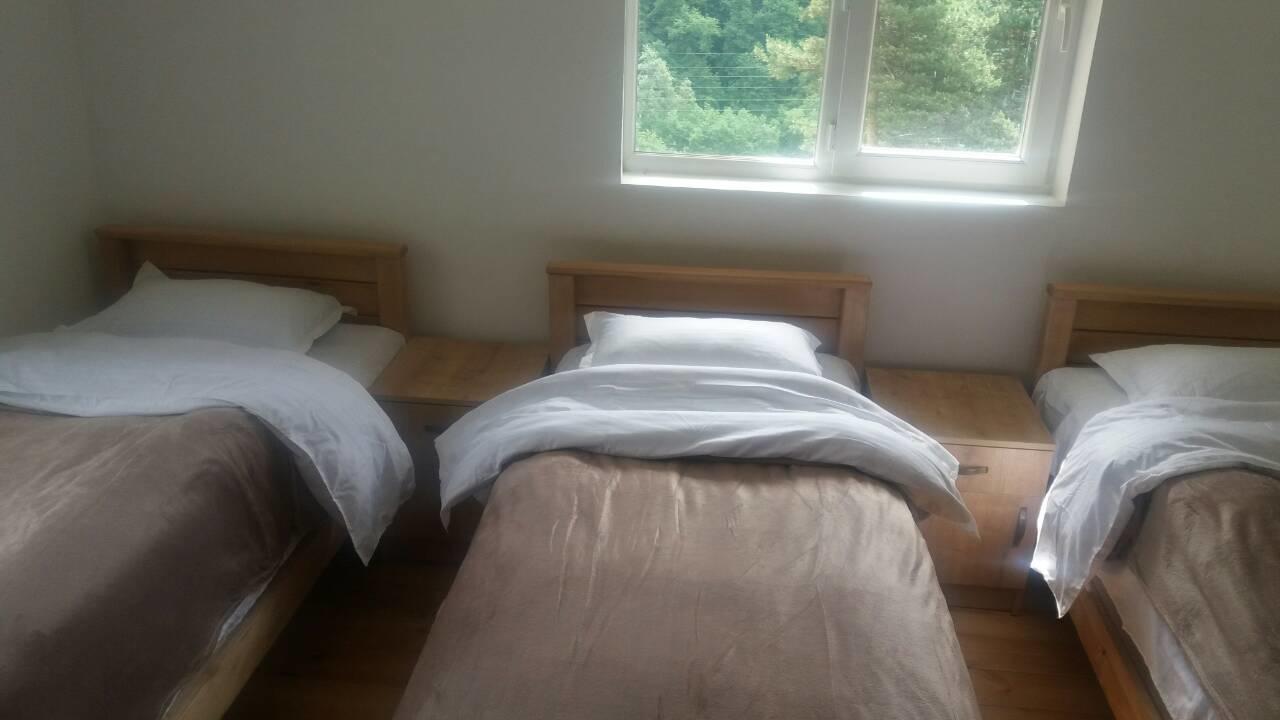 Guesthouse Gama In Khevsureti Roshka Eksteriør bilde