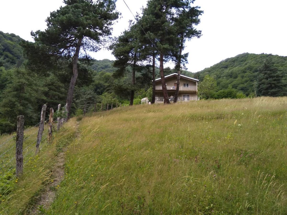 Guesthouse Gama In Khevsureti Roshka Eksteriør bilde