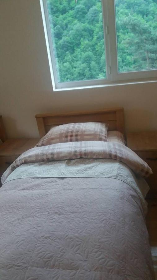 Guesthouse Gama In Khevsureti Roshka Eksteriør bilde